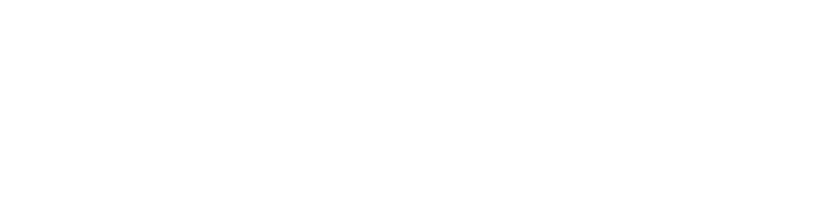 Skippo